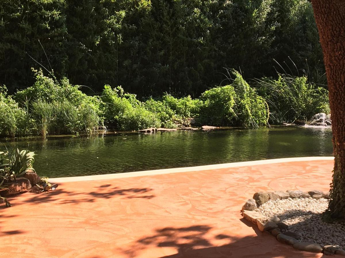 Villa Mas Le Nathakassou Cabannes Esterno foto
