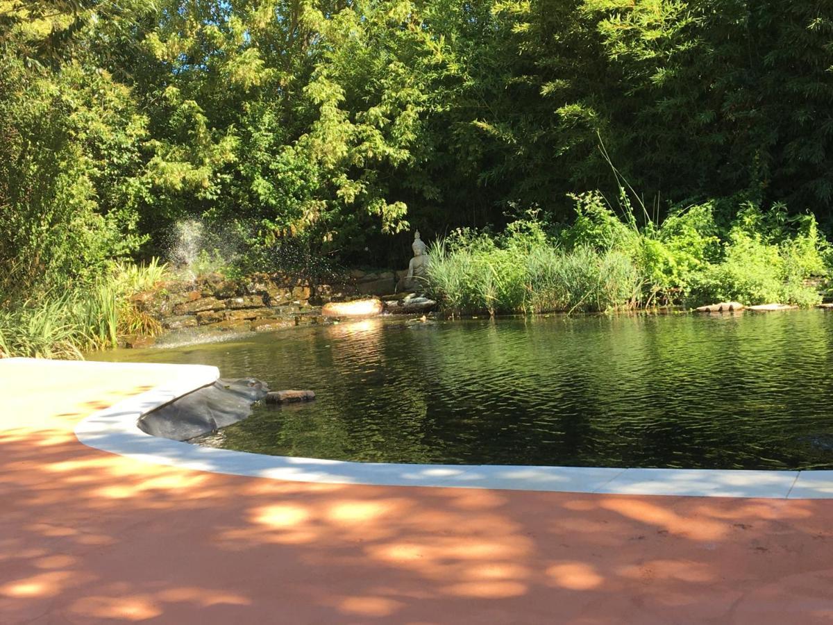 Villa Mas Le Nathakassou Cabannes Esterno foto