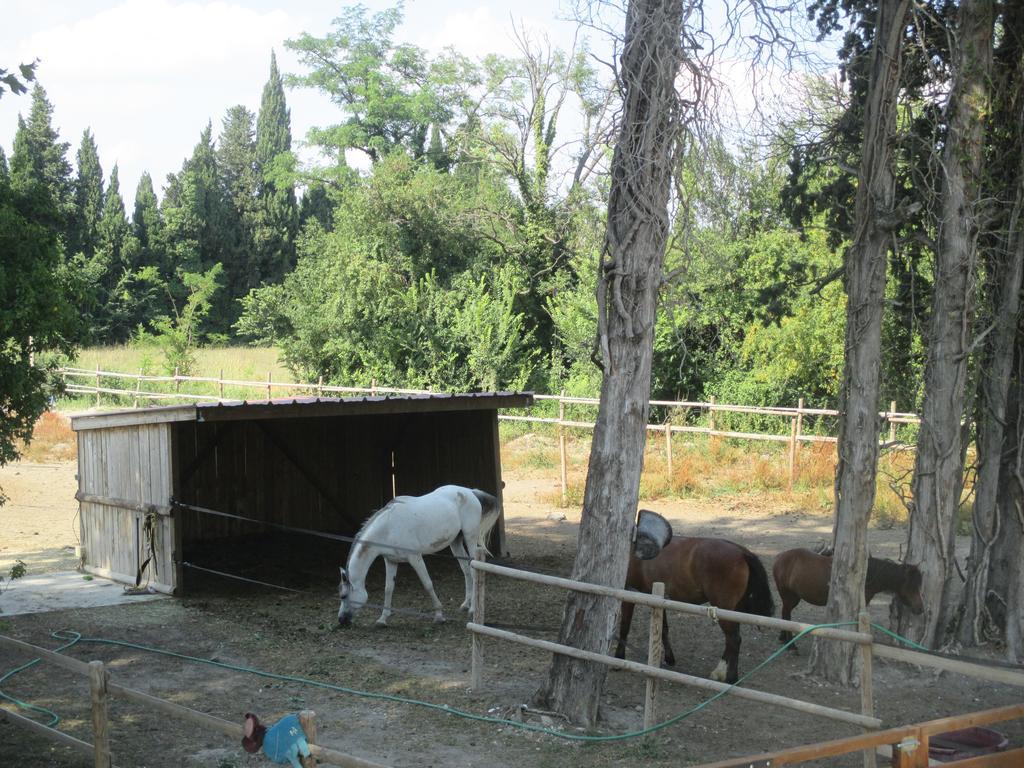 Villa Mas Le Nathakassou Cabannes Esterno foto