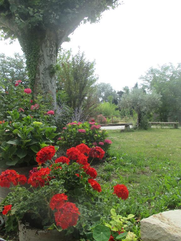 Villa Mas Le Nathakassou Cabannes Esterno foto