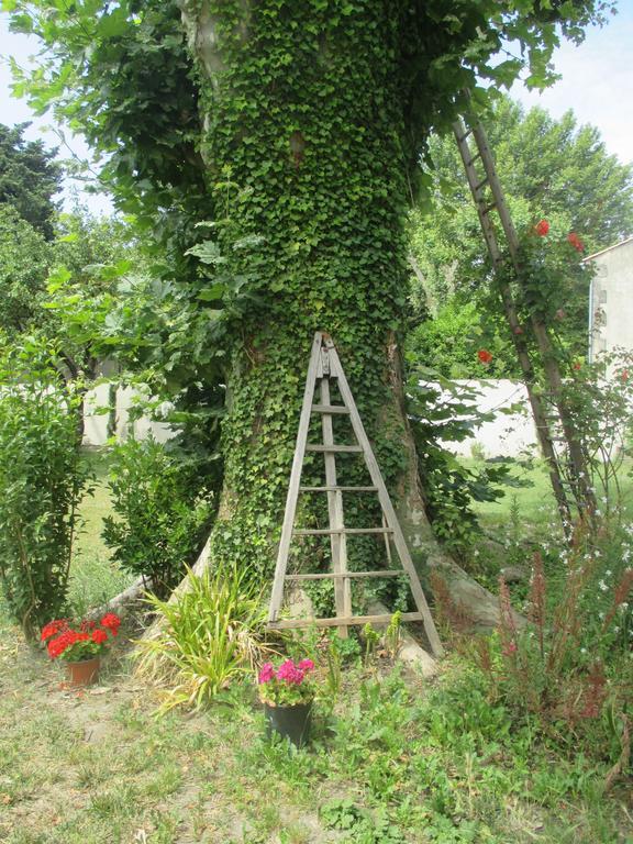 Villa Mas Le Nathakassou Cabannes Esterno foto